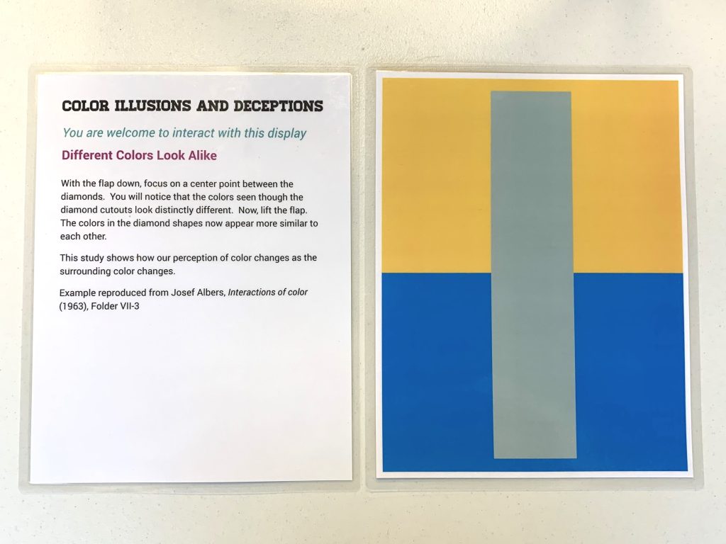 Color Illusions and Deceptions laminated display in the How We Perceive Colors kit.
