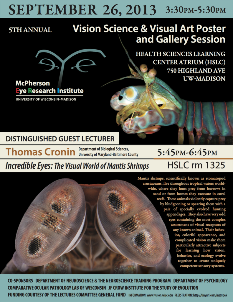 5th Annual Vision Science & Visual Art Poster and Gallery Session (2013) poster