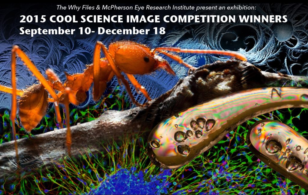 Cool Science Image Competition