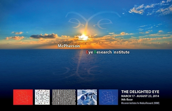 The Delighted Eye Poster