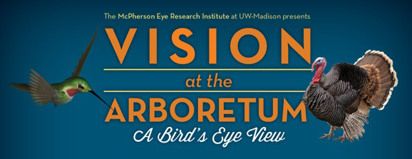 MERI Flyer Vision Aboretum 2017