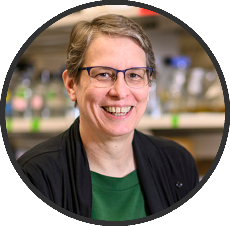 Christine Sorenson, PhD