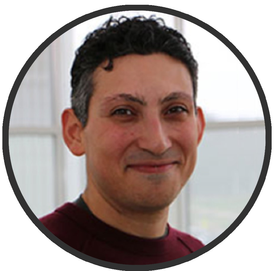 Ender Tekin, PhD