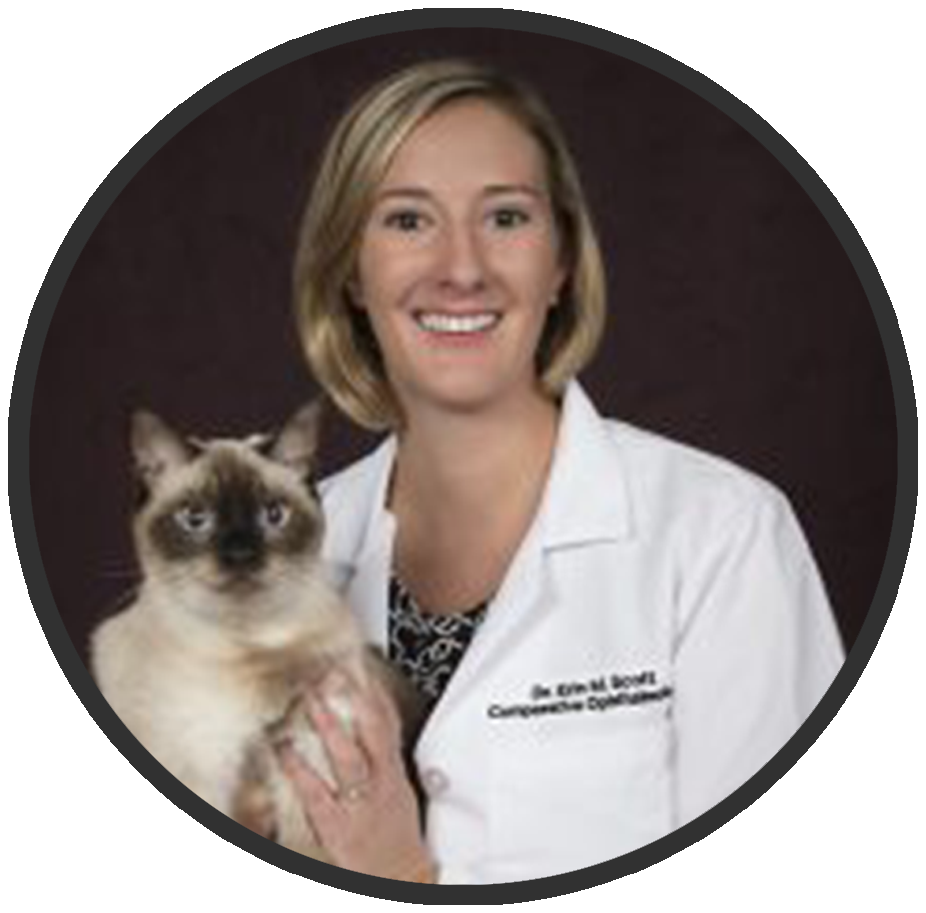 Erin Scott, VMD, DACVO
