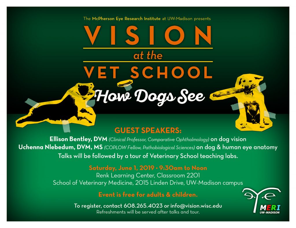 Vision at the Vet School flyer
