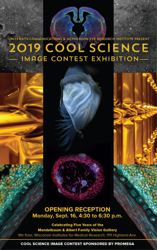 Cool Science Images 2019 poster