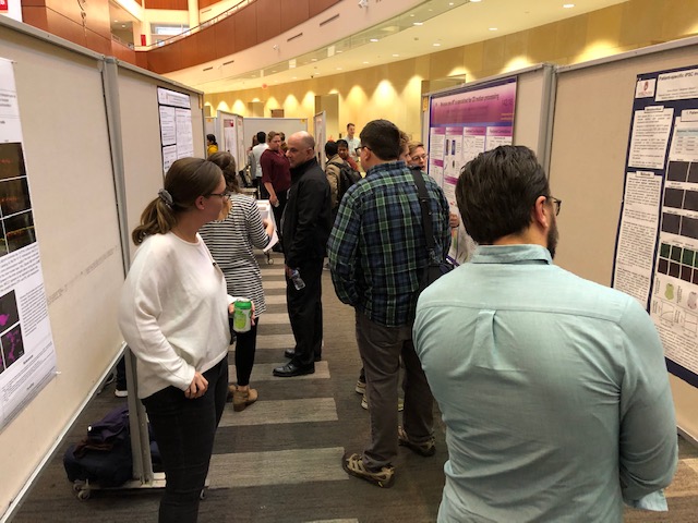 Image of the 2019 Vision Science Poster Session