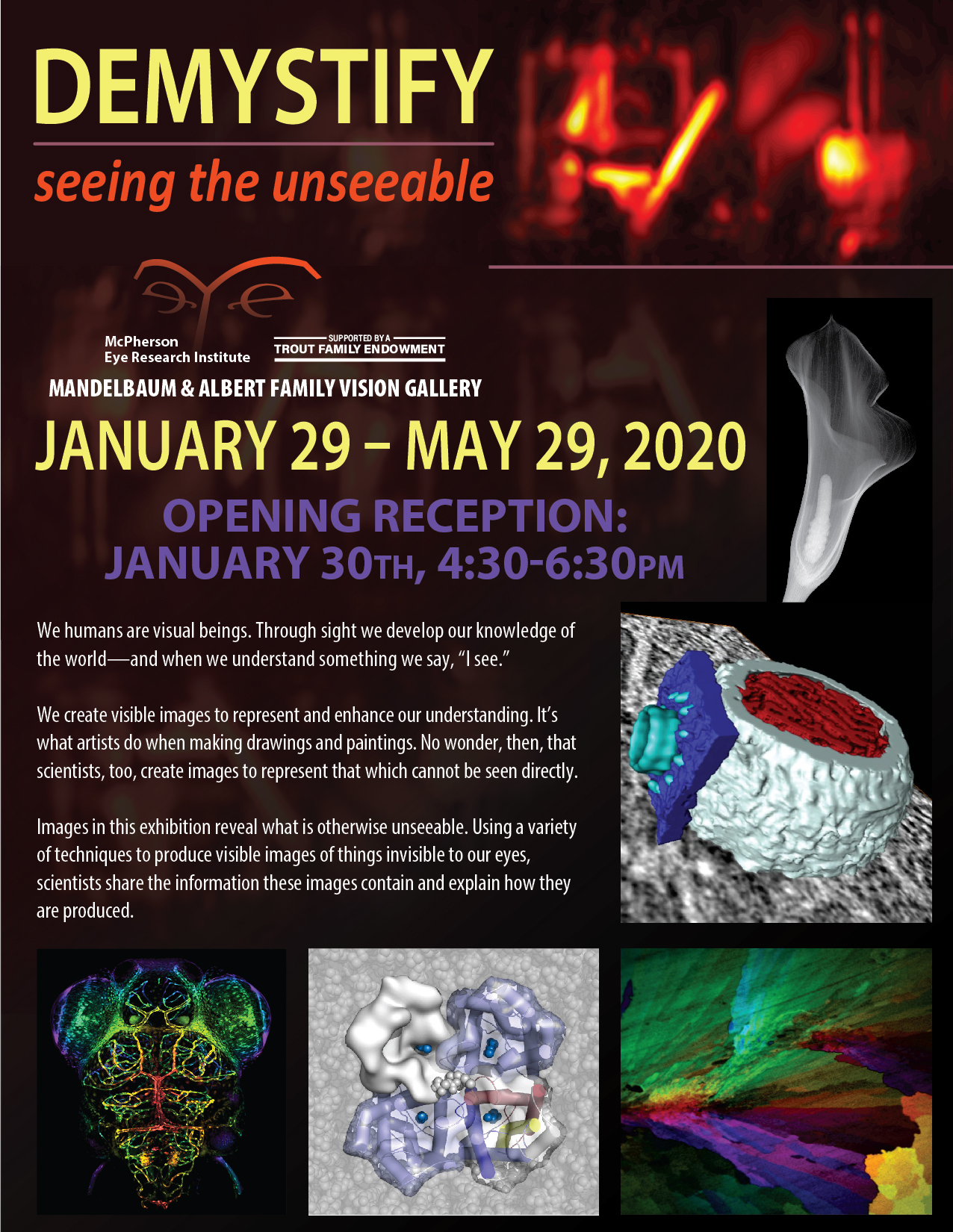 Demystify Exhibit Poster