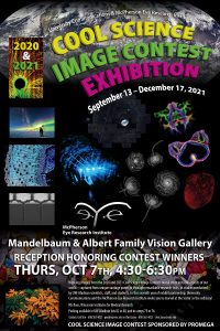 Cool Science Image Contest Exhibition poster