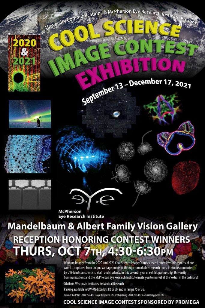 Cool Science Image Contest Exhibition 2021