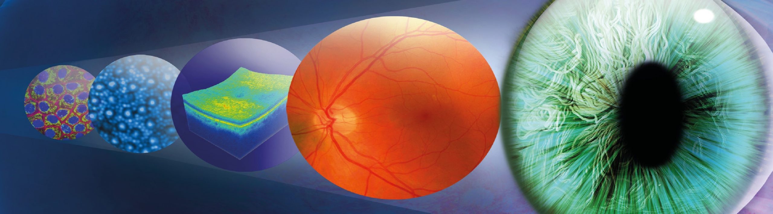 an decorative image of retina cells and imaging