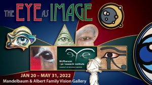The Eye as Image