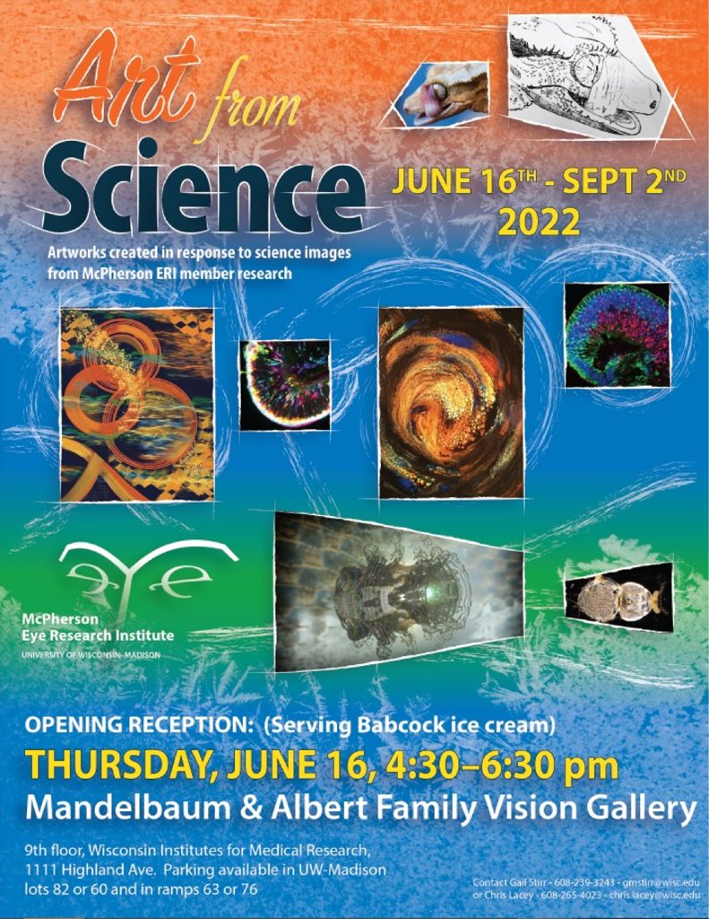 Art from Science poster