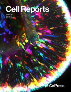 Cell Reports issue cover