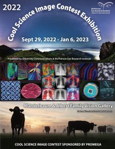 Cool Science Image Contest Exhibition 2022 poster