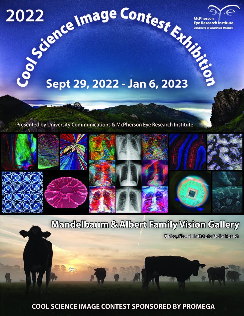 Cool Science Images 2022 poster
