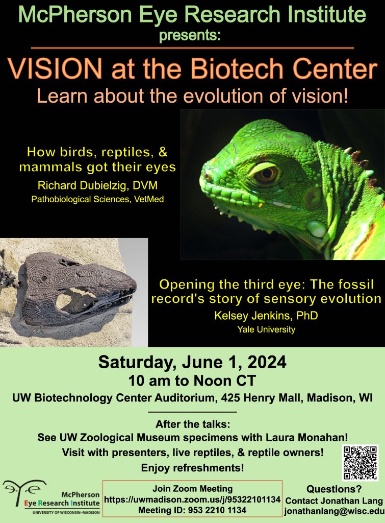 Vision at the Biotech Center 2024: Learn about the evolution of vision!