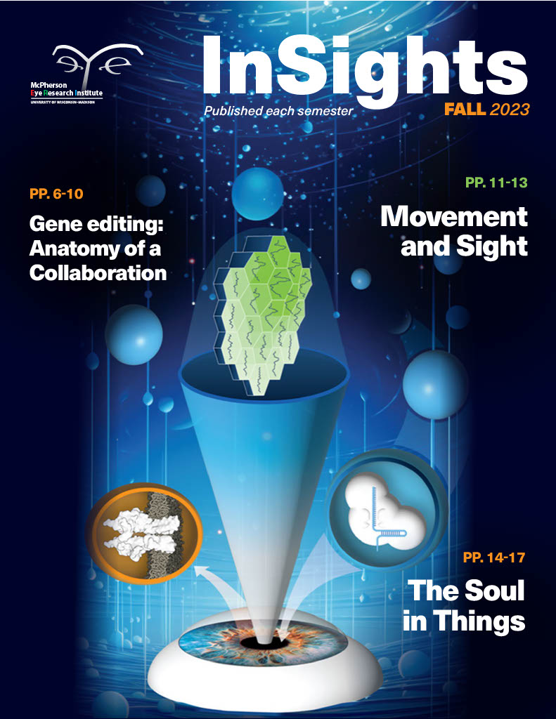 Cover, Fall 2023 InSights