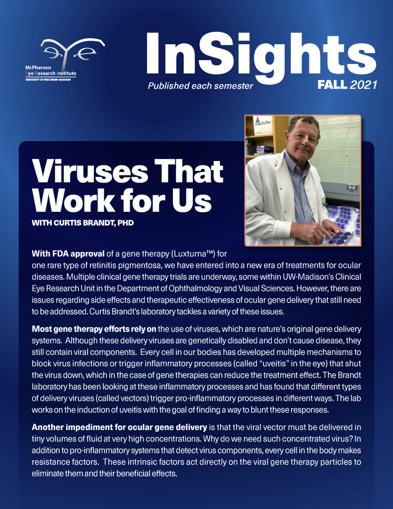 Insights Fall 2021