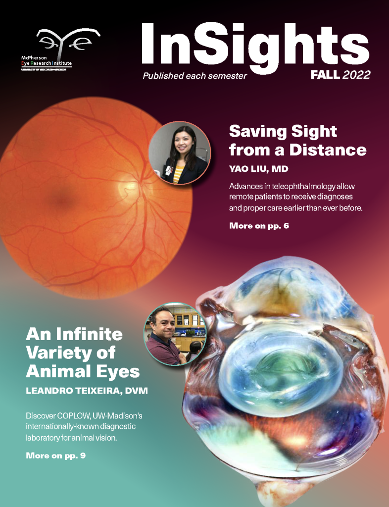 Insights Fall 2022