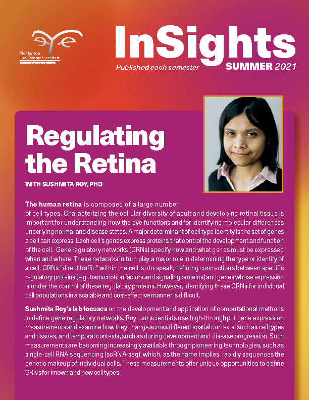 Insights Summer 2021