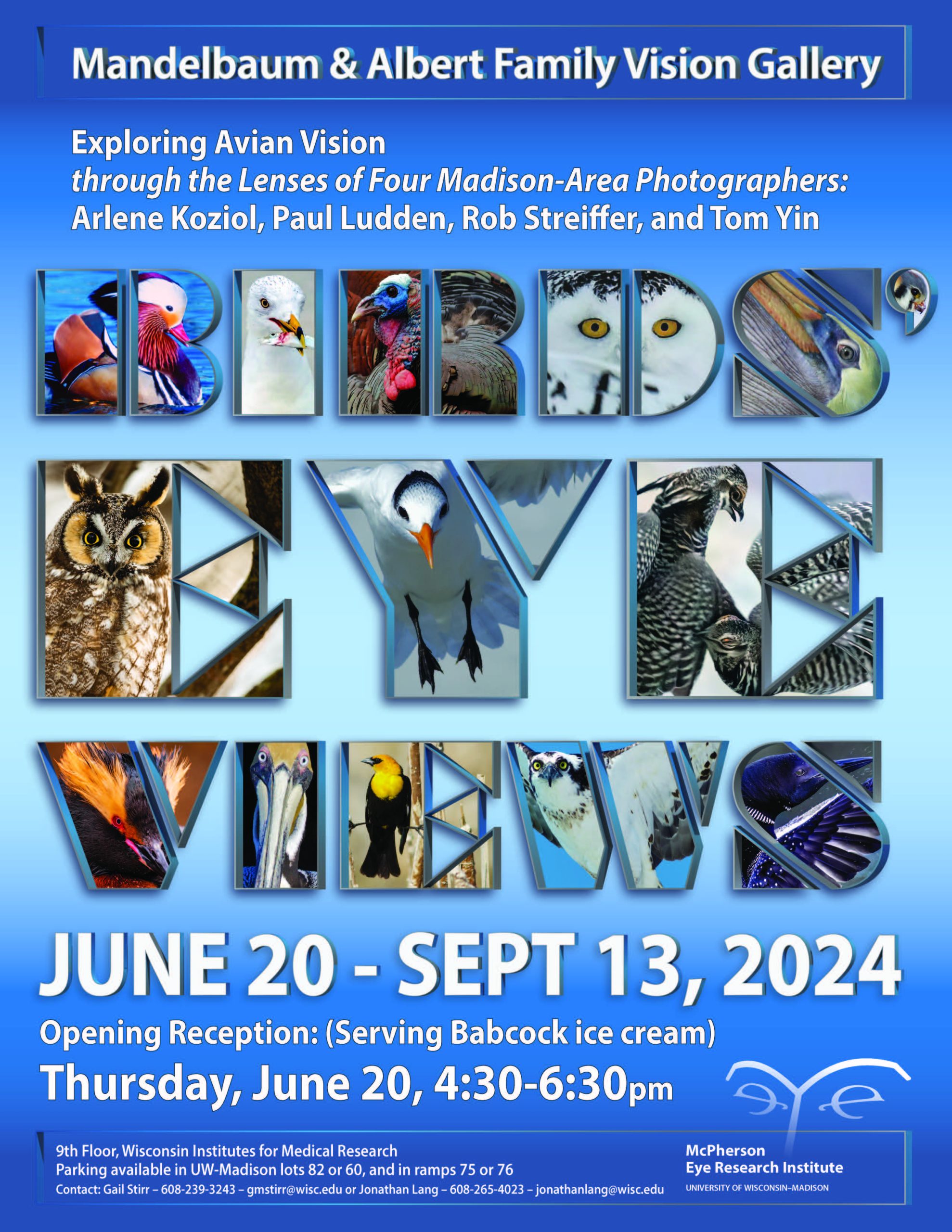 Birds Eye View poster