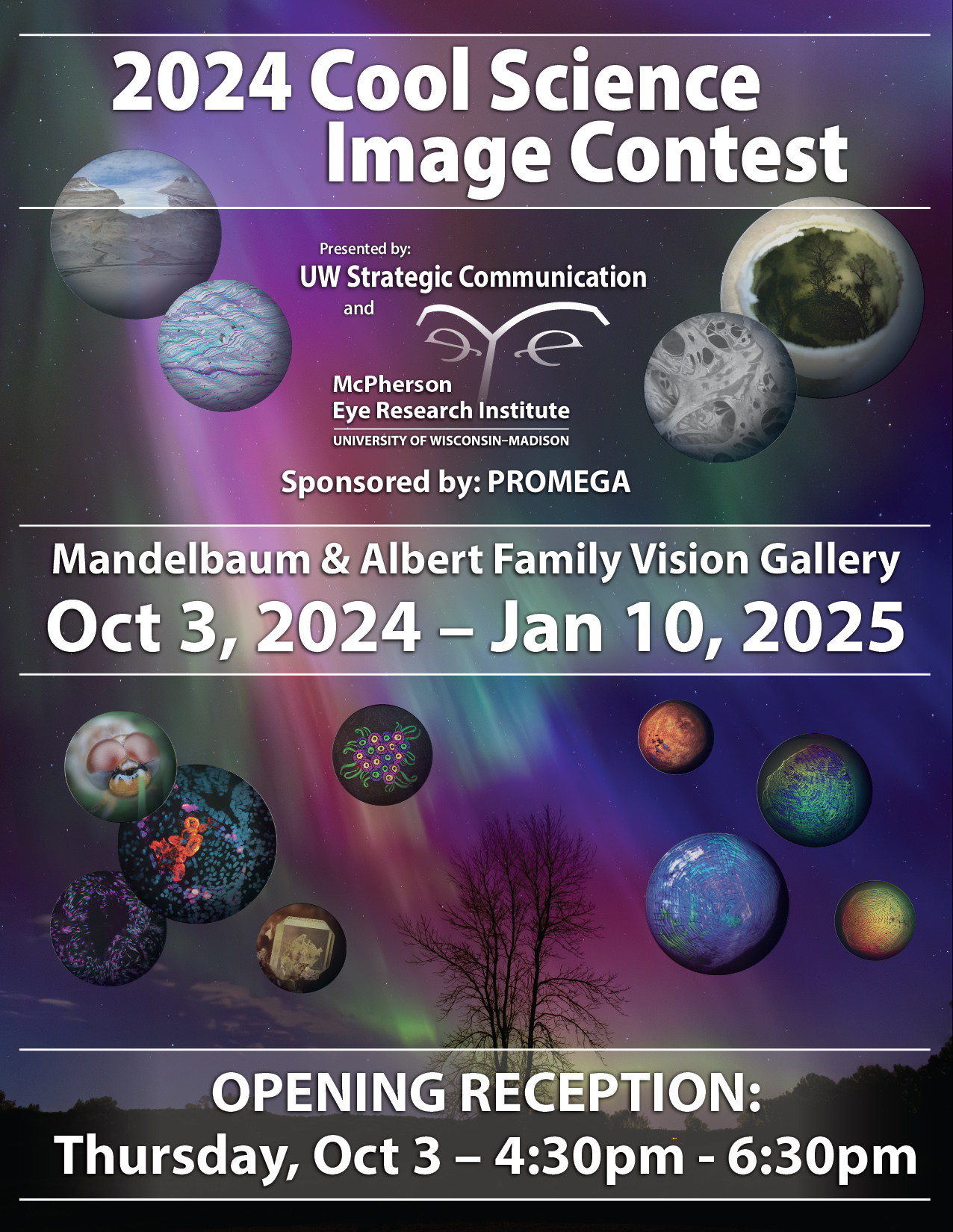 2024 Cool Science Image Contest poster