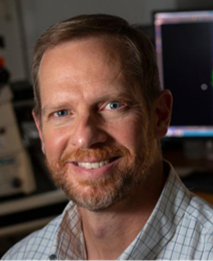 A profile picture of David Gamm smiling