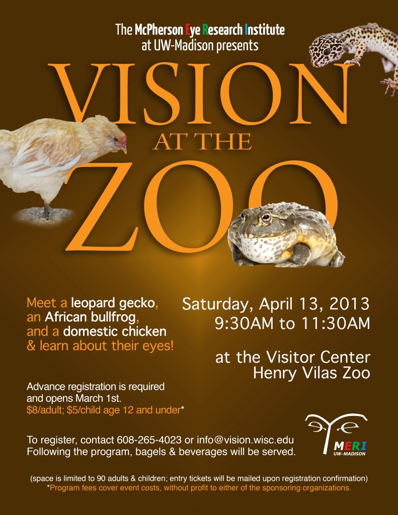 Vision at the Zoo 2013