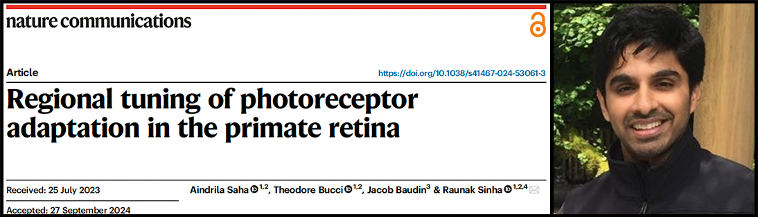 screenshot of article title
