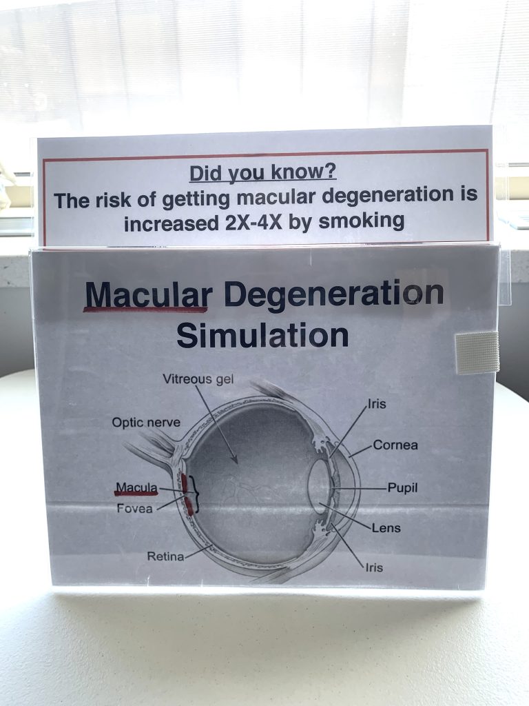 Macular Degeneration standup picture for the Different Ways of Seeing Exploration Station kit