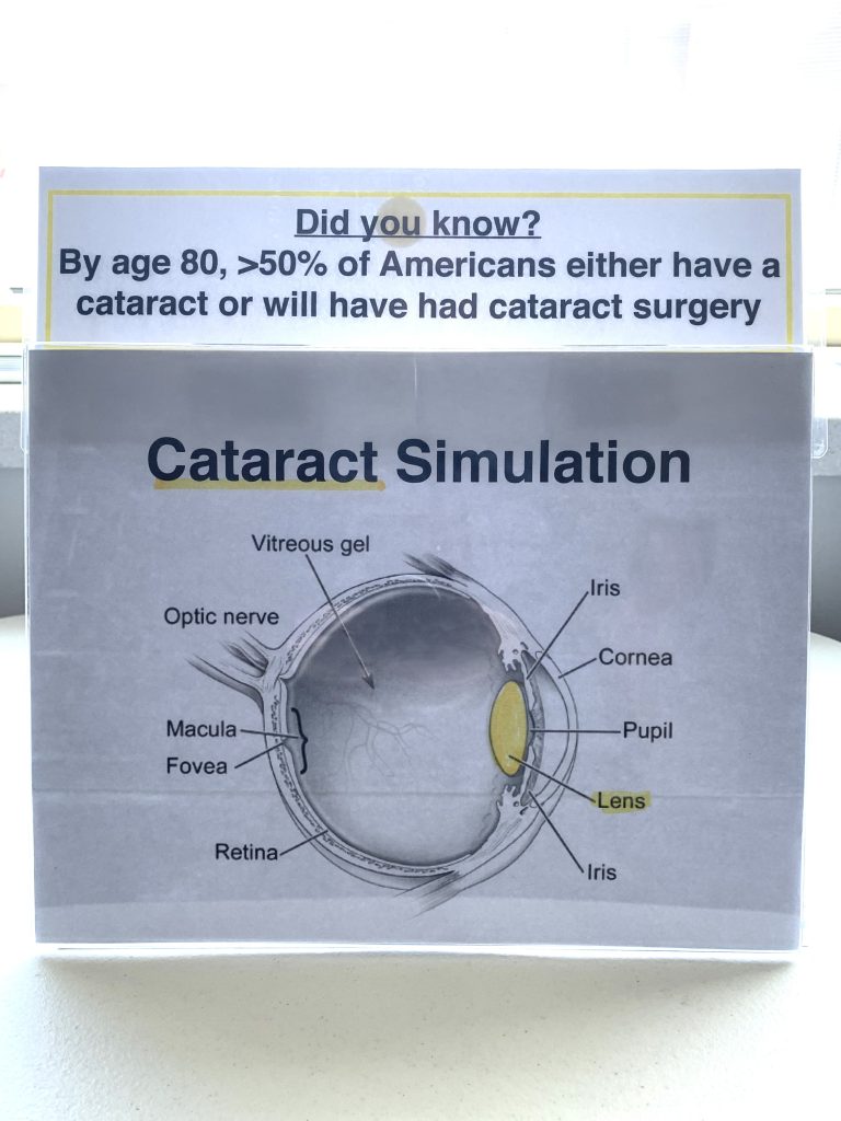 Cataract Simulation standup picture for the Different Ways of Seeing Exploration Station kit