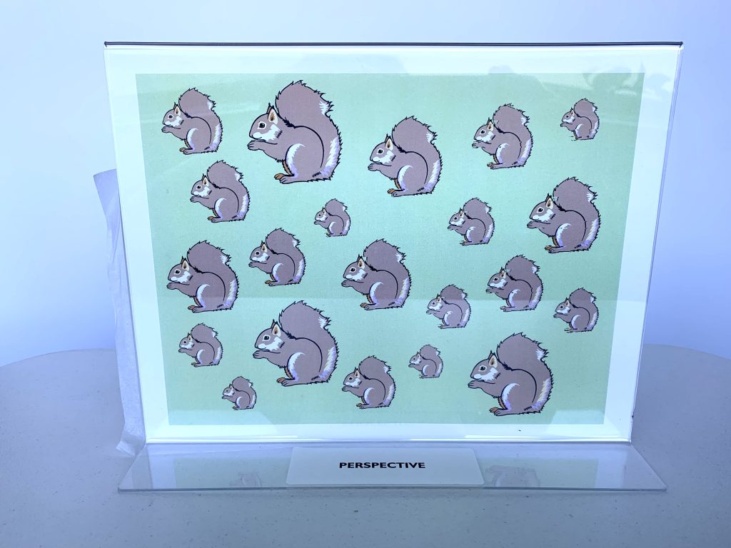An image example of perspective using squirrels.