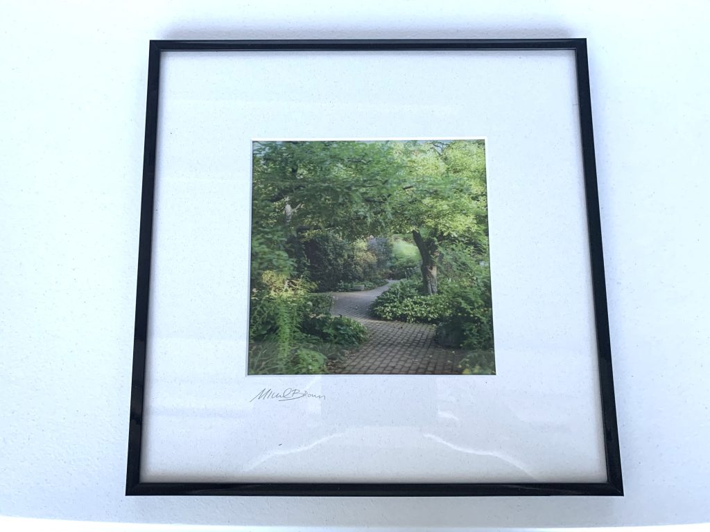 A Lenticular photo of a garden.