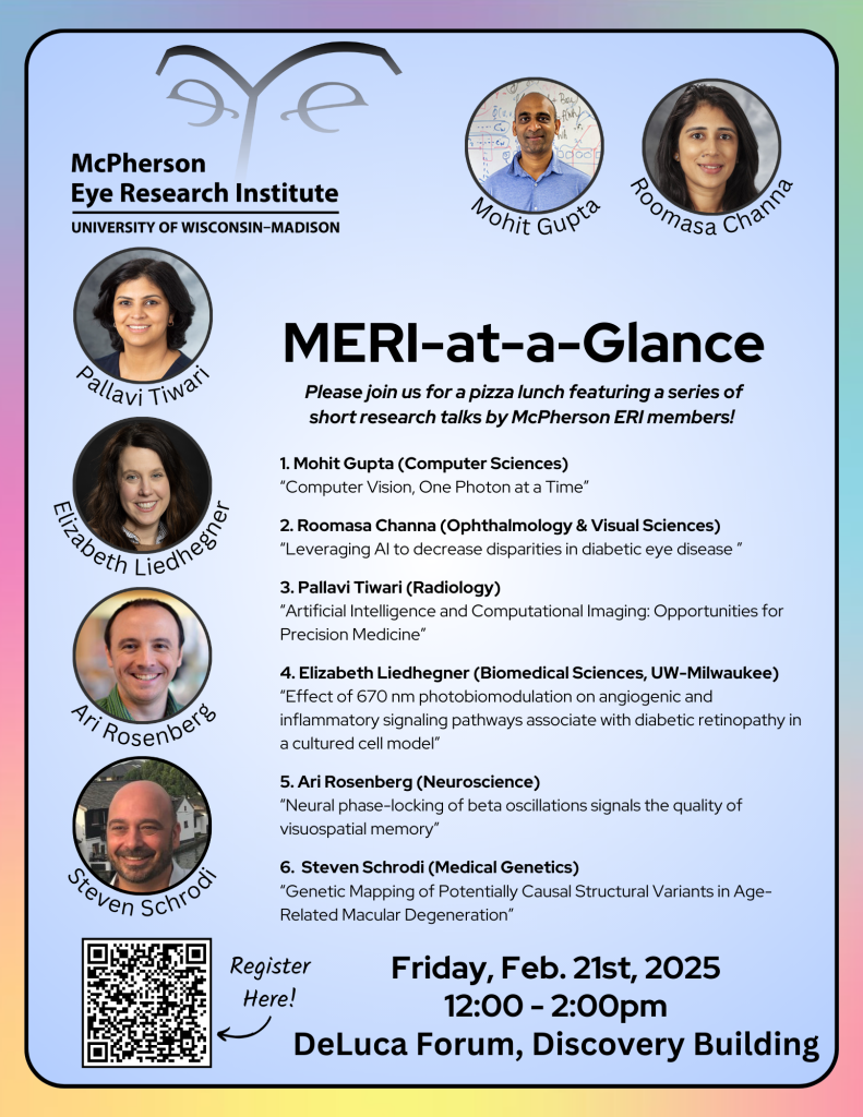 MERI at a Glance Poster for 2025