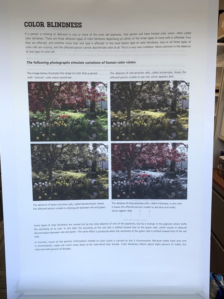 Poster explaining how color blindness in humans impacts vision. The poster contains four images of a garden with different combinations of colors removed.