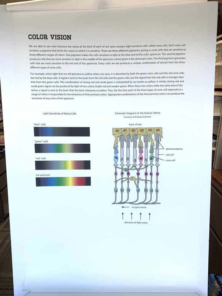 A poster displaying how eyes can perceive colors. Located in the How We Perceive Color kit.