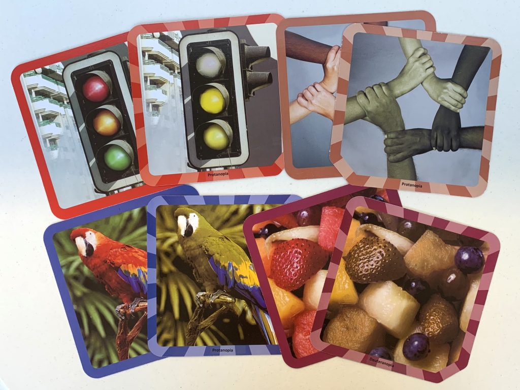Cards displaying a traffic light, hands, fruit salad, and a Scarlet Macaw. Each card has a duplicate version simulating Protanopia and Deuteranopia.