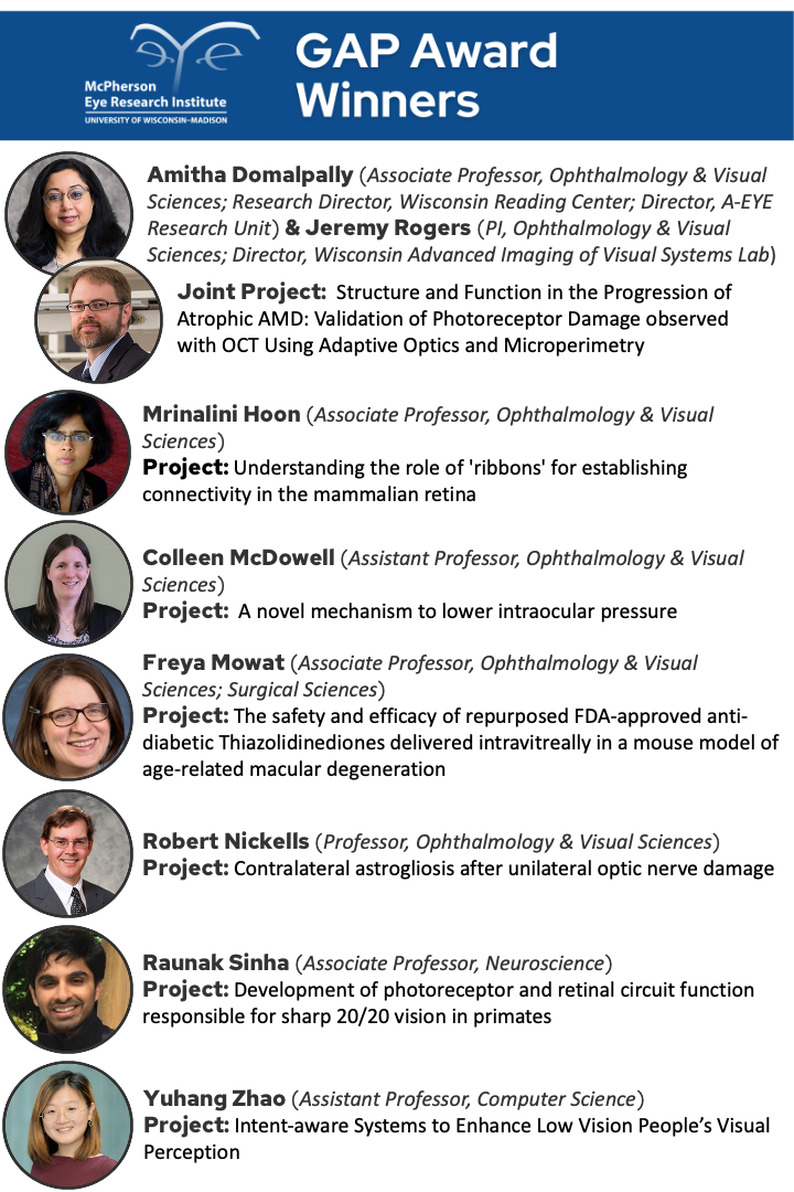 The 7 winners for the 2025 awards are as follows: 1. Associate Professor Mrinalini Hoon, Ophthalmology & Visual Sciences, SMPH. Dr. Hoon's project is "Understanding the role of ‘ribbons’ for establishing connectivity in the mammalian retina." 2. Assistant Professor Colleen McDowell, Ophthalmology & Visual Sciences, SMPH. Dr. McDowell's project is "A novel mechanism to lower intraocular pressure." 3. Assistant Professor Freya Mowat, Ophthalmology & Visual Sciences, SMPH & Surgical Sciences, SVM. Dr. Mowat's project is "The safety and efficacy of repurposed FDA-approved anti-diabetic Thiazolidinediones delivered intravitreally in a mouse model of age-related macular degeneration." 4. Professor Robert Nickells, Ophthalmology & Visual Sciences, SMPH. Dr. Nickells's project is "Contralateral astrogliosis after unilateral optic nerve damage." 5. Associate Professor Raunak Sinha, Neuroscience, SMPH. Dr. Sinha's project is "Development of photoreceptor and retinal circuit function responsible for sharp 20/20 vision in primates." 6. Assistant Professor Yuhang Zhao, Computer Sciences, SDCIS. Dr. Zhao's project is "Intent-aware Systems to Enhance Low Vision People’s Visual Perception." 7. Associate Professor Amitha Domalpally, Ophthalmology & Visual Sciences, SMPH; WAIVS Director Jeremy Rogers, Ophthalmology & Visual Sciences, SMPH. The joint project of Dr. Domalpally and Dr. Rogers is "Structure and Function in the Progression of Atrophic AMD: Validation of Photoreceptor Damage observed with OCT Using Adaptive Optics and Microperimetry."
