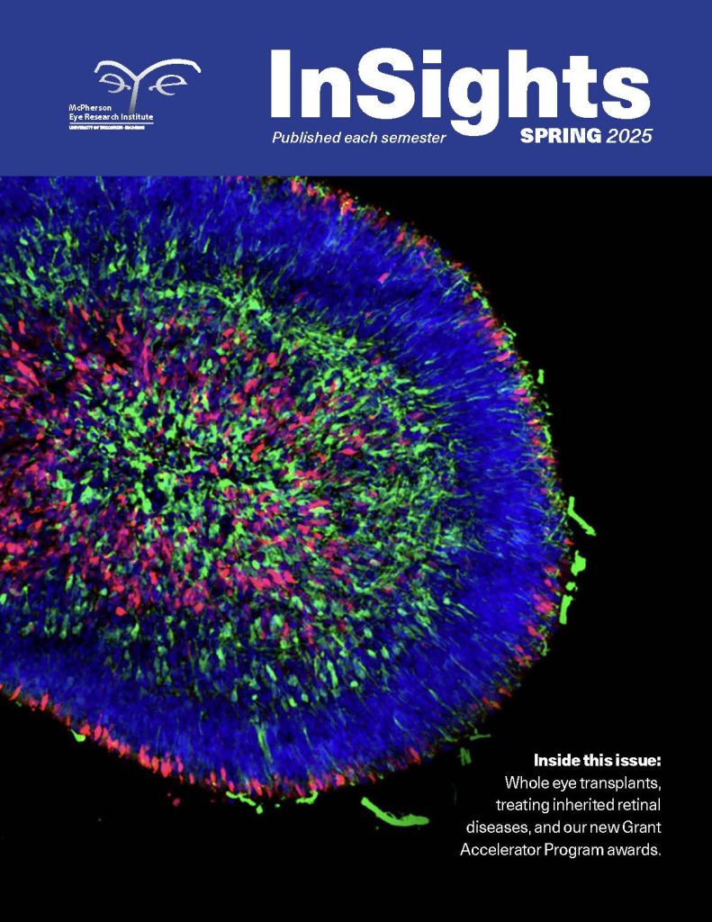 Insights Spring 2025