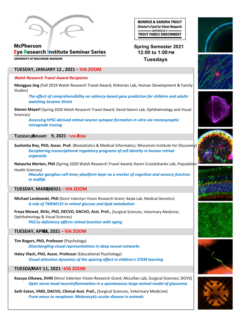 Spring 2021 Seminar Series schedule