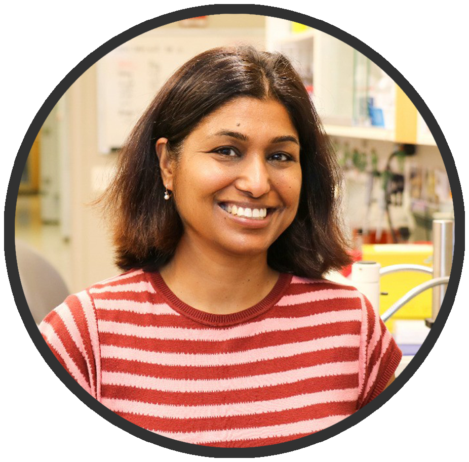 Sangeetha Kandoi