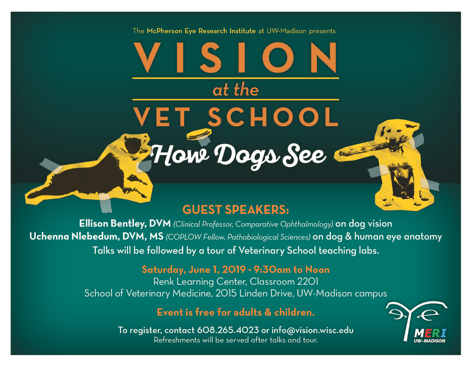 Vision at the Vet School 2019: How Dogs See