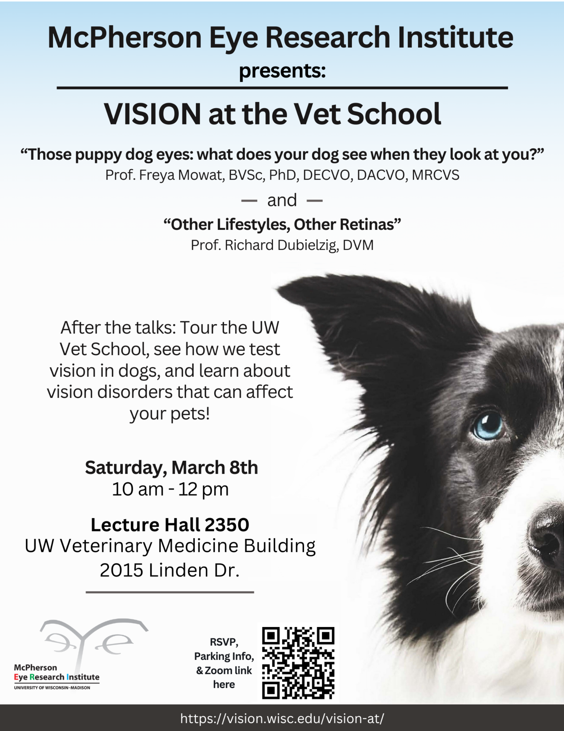 Vision at the Vet School 2025: The Vision of Dogs